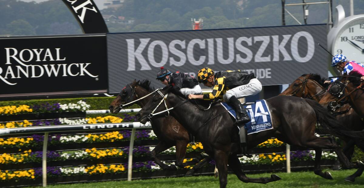 Its Me (outside, and Jason Collett) winning last year's Kosciuszko, from Redouble (Tom Berry). The event now relates to a new race The Four Pillars which has been added to the Rosehill program in October. Photo: Virginia Harvey 
