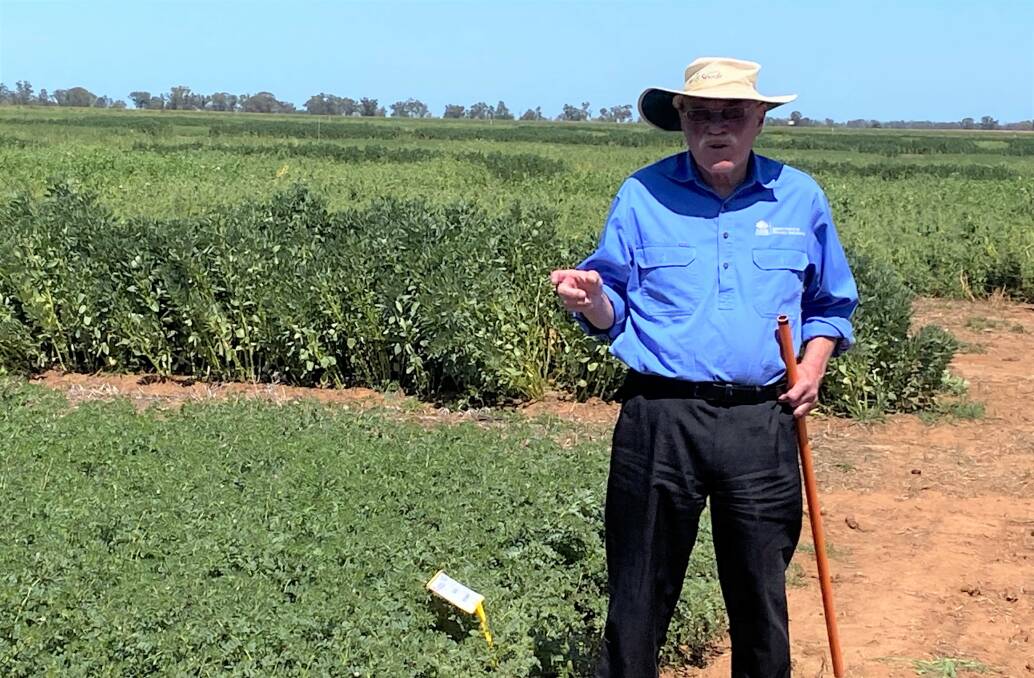 A typical pose of NSW DPI plant pathologist Dr Kevin Moore. Dr Moore has played a key part in the development of the Australian chickpea industry by developing guidelines for management of serious diseases like ascochyta. 
