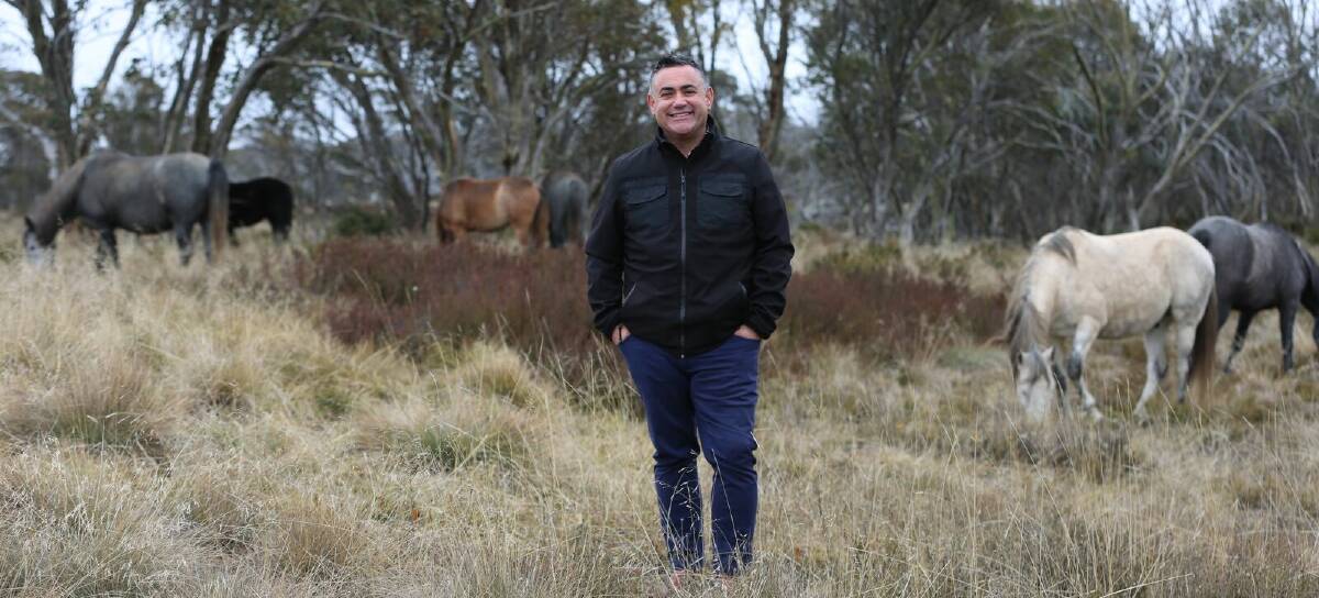 Mr Barilaro put through a Bill to preserve the heritage of Snowy brumbies.