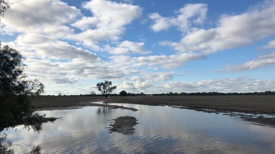 Urana in southern NSW had more than 30mm in initial falls from last week's weather system. It had good rain also in March. Photo: Olivia Calver
