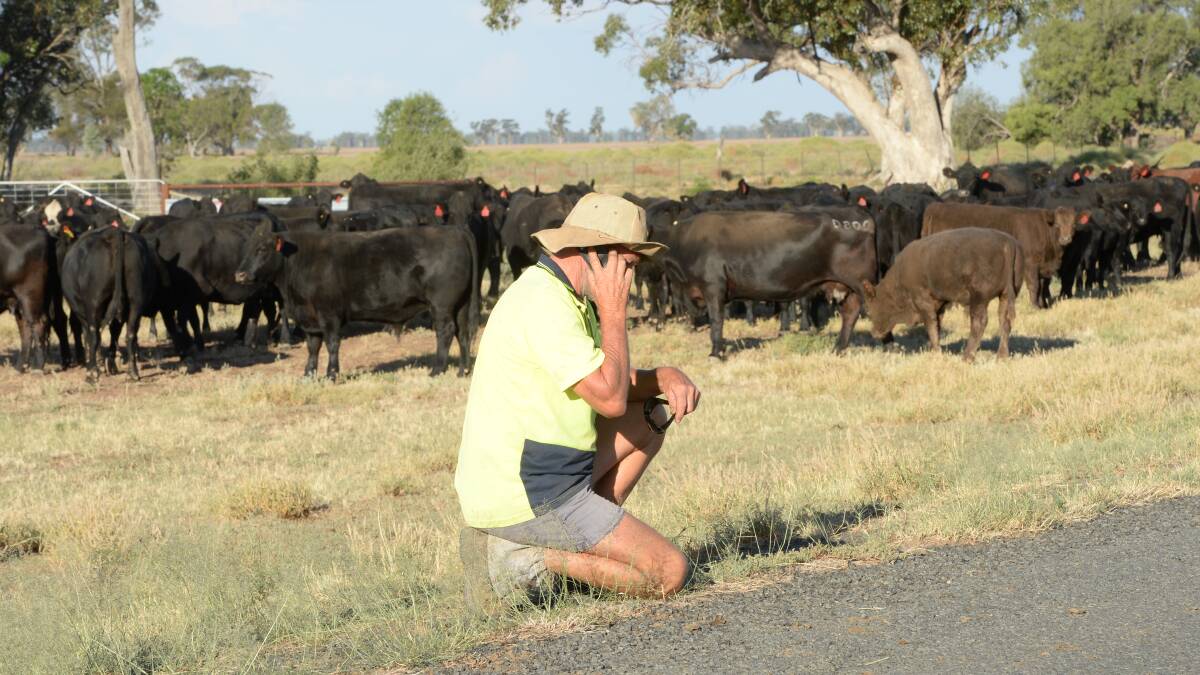 Farmers are hoping for more black spot rollouts for the mobile phone network.
