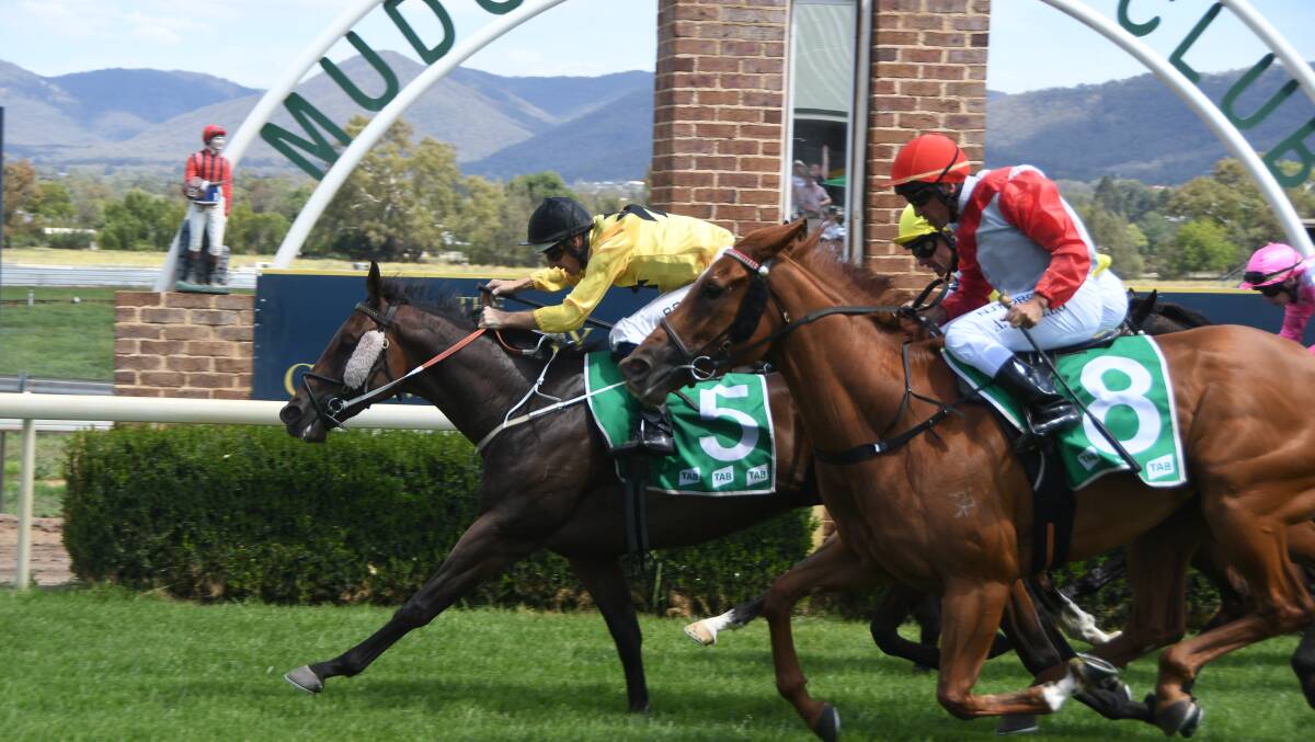 Country racing at Mudgee. Racing NSW are working toward easing COVID-19 restrictions for provincial and country participants. Photo Virginia Harvey.