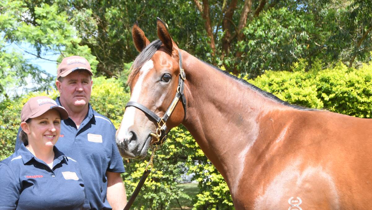  Davili Thoroughbreds principals Alison and David Hush with the Hellbent-Sicilian Miss colt bound for Inglis Classic Yearling Sale. Photo Virginia Harvey 
