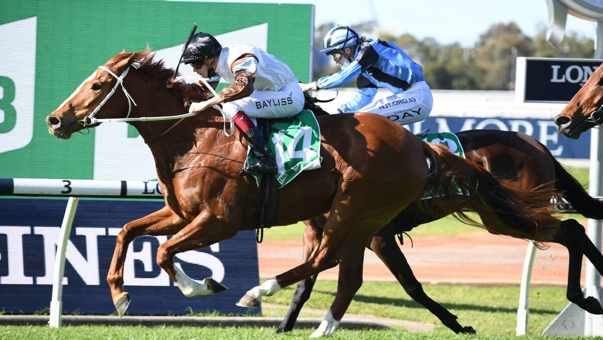 The Bathurst trained Zoo Station made it a hat-trick of wins when winning the TAB Highway Handicap at Rosehill last Saturday. Photo Steve Hart. 