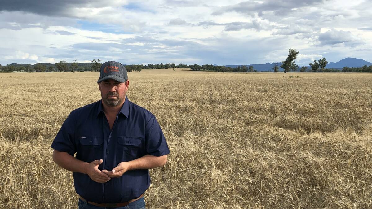 Bellata wheatgrower Glenn Fernance in last year's crop that produced a high volume of stubble, the likes of which many farmers are contending with now amid this season's sowing.