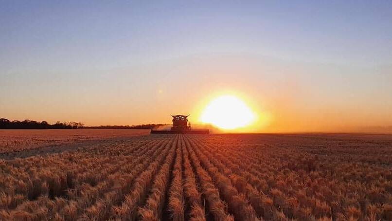Sun sets on a harvest job up north. Photo by Sam Fagg, BB Harvesting.