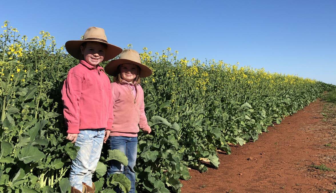 Isabella, 6, and sister Lucy on edge of the crop.