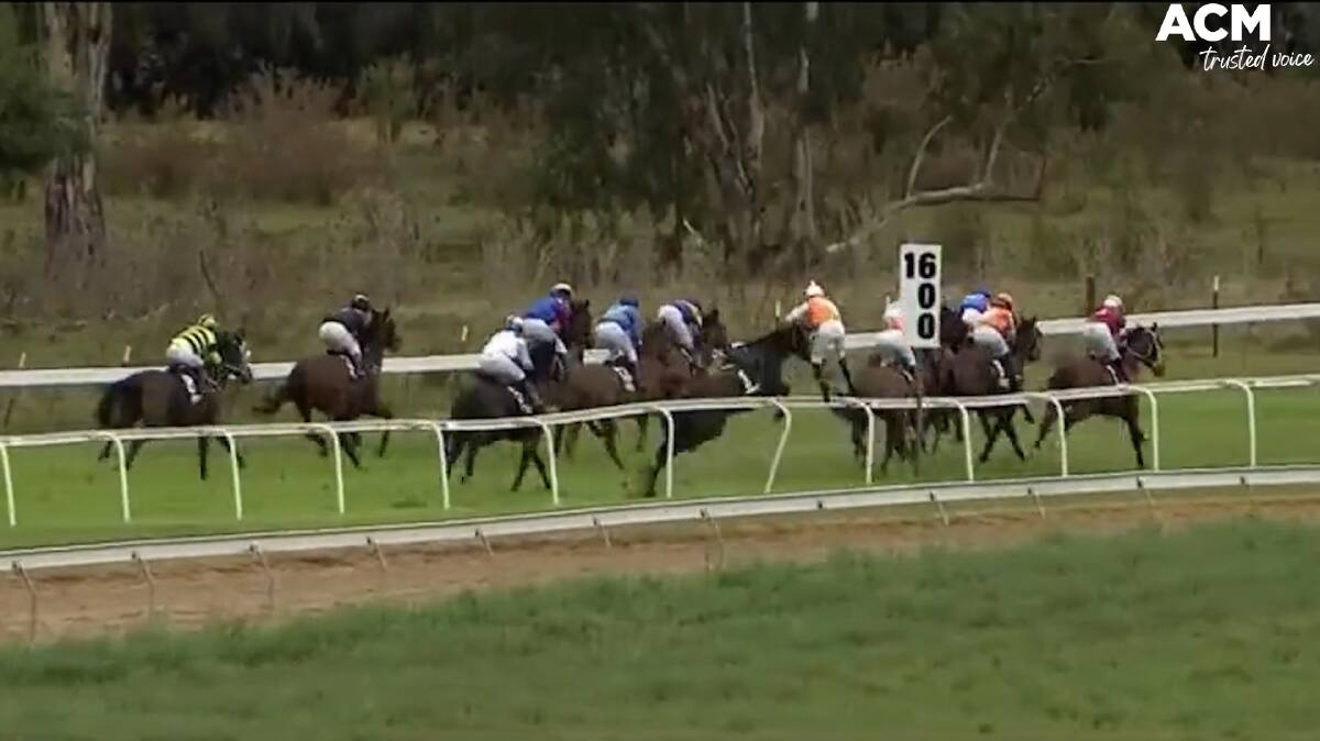 Jockey Tyler Schiller is flung through the air towards the 1600m post by his buckjumping mount Come on Harry at Gundagai races. The jockey says he'll ride him again.