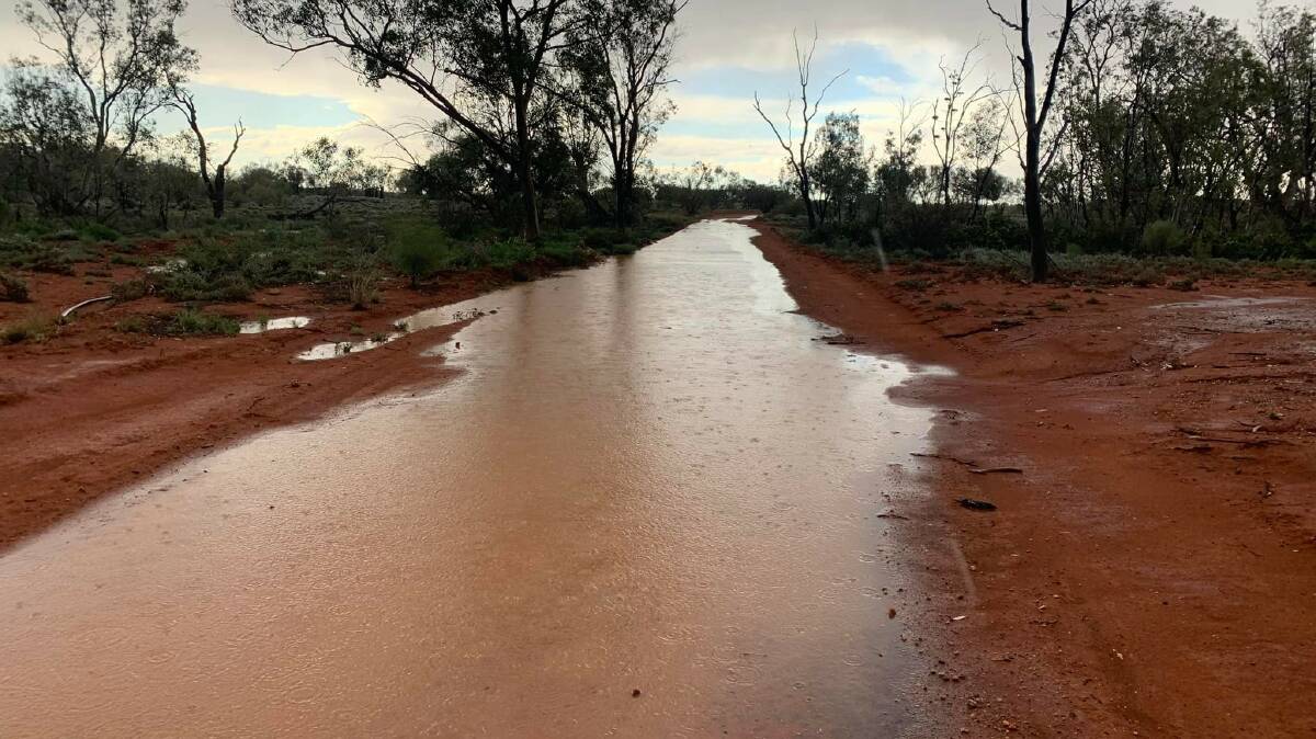 Water on the road at Wertago west of White Cliffs. The station has had nearly 80mm for the month. November totals have been astonishing for many areas of the Western Division, breaking many records and ending the drought in many southern parts. Photo courtesy Stuart Anesbury. 