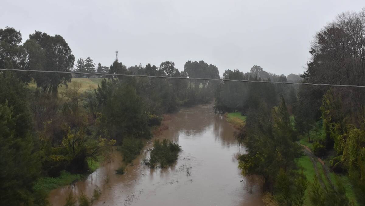 The Hunter River at Singleton was running strongly. Photo by Louise Nichols/Singleton Argus.
