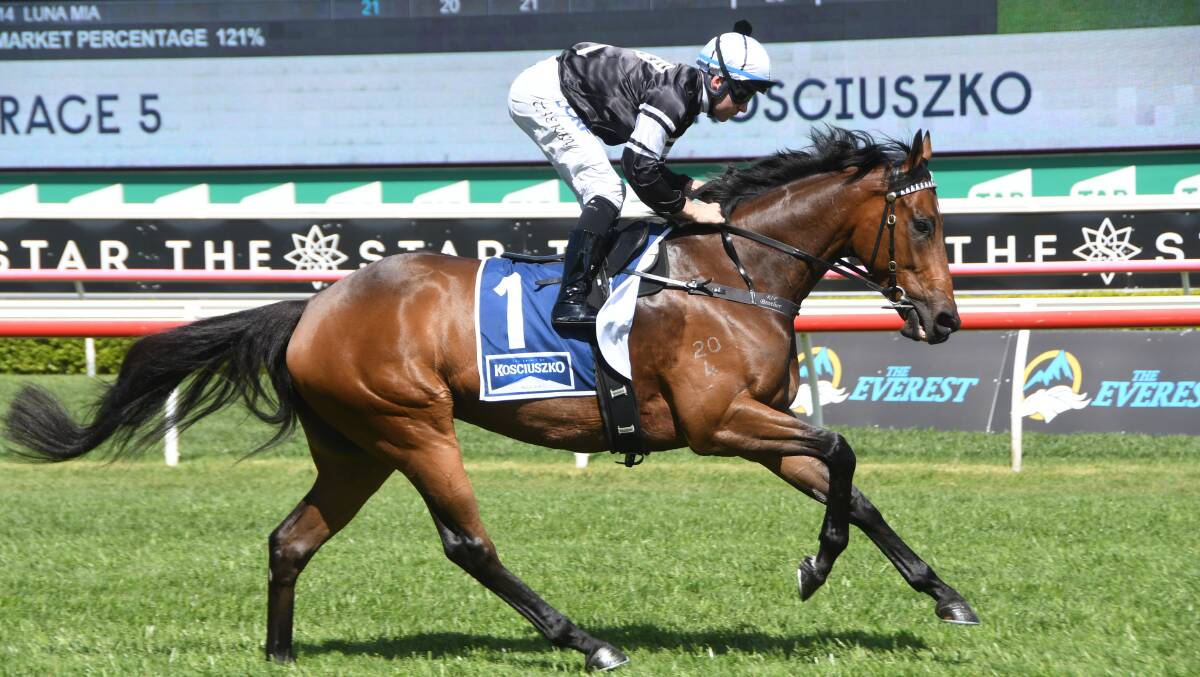 Victorem (and Tommy Berry) finished second in The Kosciuszko in 2019. Photo Virginia Harvey. 