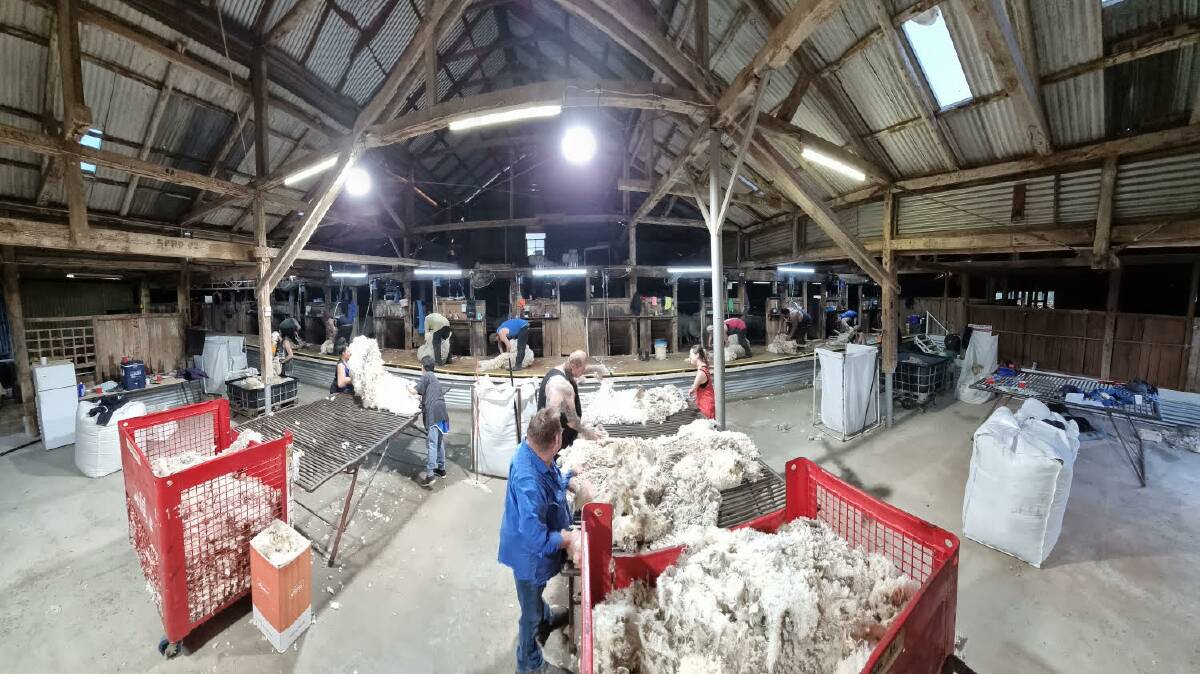 A 12-stand shed at Bangate Station with Muddy's Quality Shearing completing the wool season for Bangate's owners.