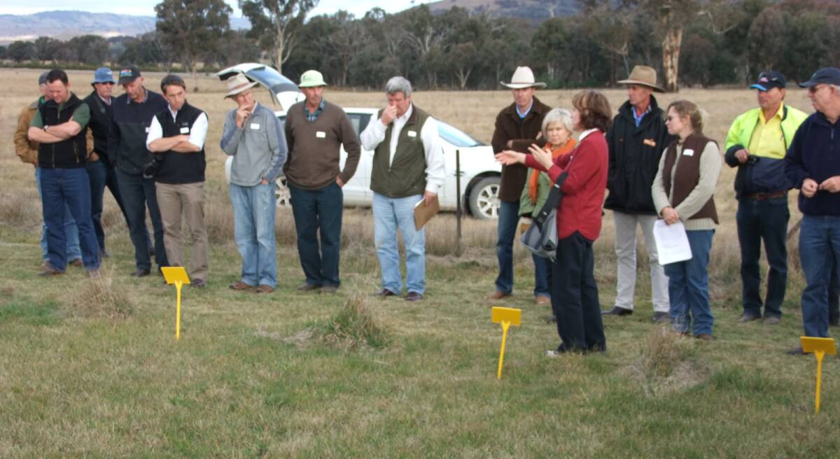 Yass LLS Senior Agronomist Fiona Leech, outlining to farmers at one of her field days results of long term pasture fertiliser trials. 