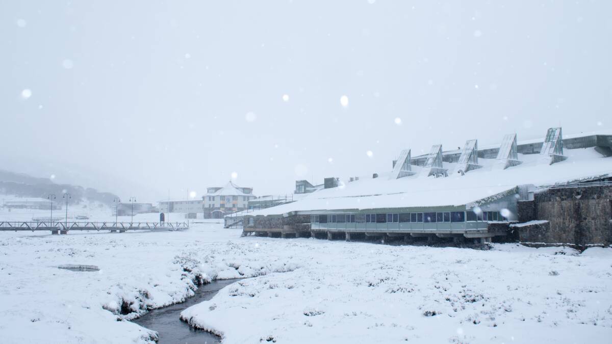 Perisher resort was blanketed in a new fall of 5cm of snow on Monday, with more on the way. Photo courtesy of Perisher.