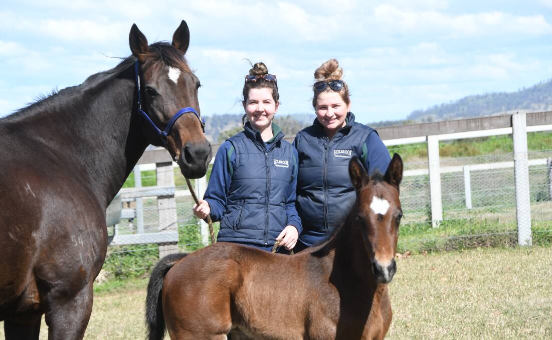  Holbrook Thoroughbreds, Scone, handlers Marissa Budd and Hannah Donnelly with Silverstream and her colt foal by Coolmore Stud sire Vancouver. Photo Virginia Harvey 