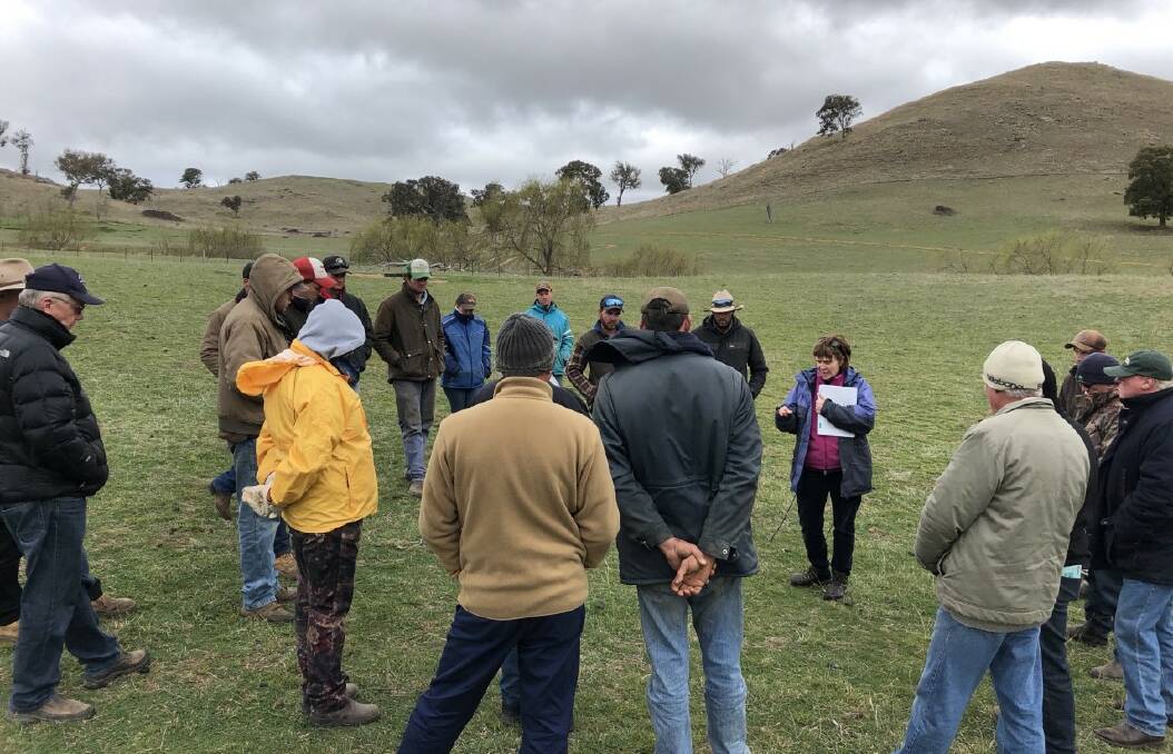 One of the many southern tableland farmer paddock discussions, this one led by Fiona Leech, detailing aspects, like soil fertility, for successful pastures. 