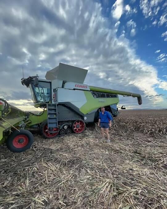 Tracking well above average. The Claas combine at the property owned by Claas owner Cathrina Claas-Muhlhauser, at Bundella, with manager Andrew Mitchell in the middle of the sorghum harvest with yields averaging 9t/ha. Jack Mitchell, 6, is pictured on front page. Photo by Elisa Mitchell.
