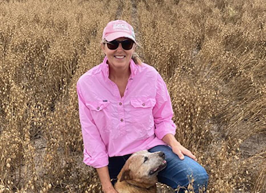 Trini MacCallum and Ruby, in a chickpea crop at Bowra, Coonamble, with Seamer chickpeas on left and HatTrick on right, that appear to have similar pods. The crops have needed just one application of fungicide and pesticide.