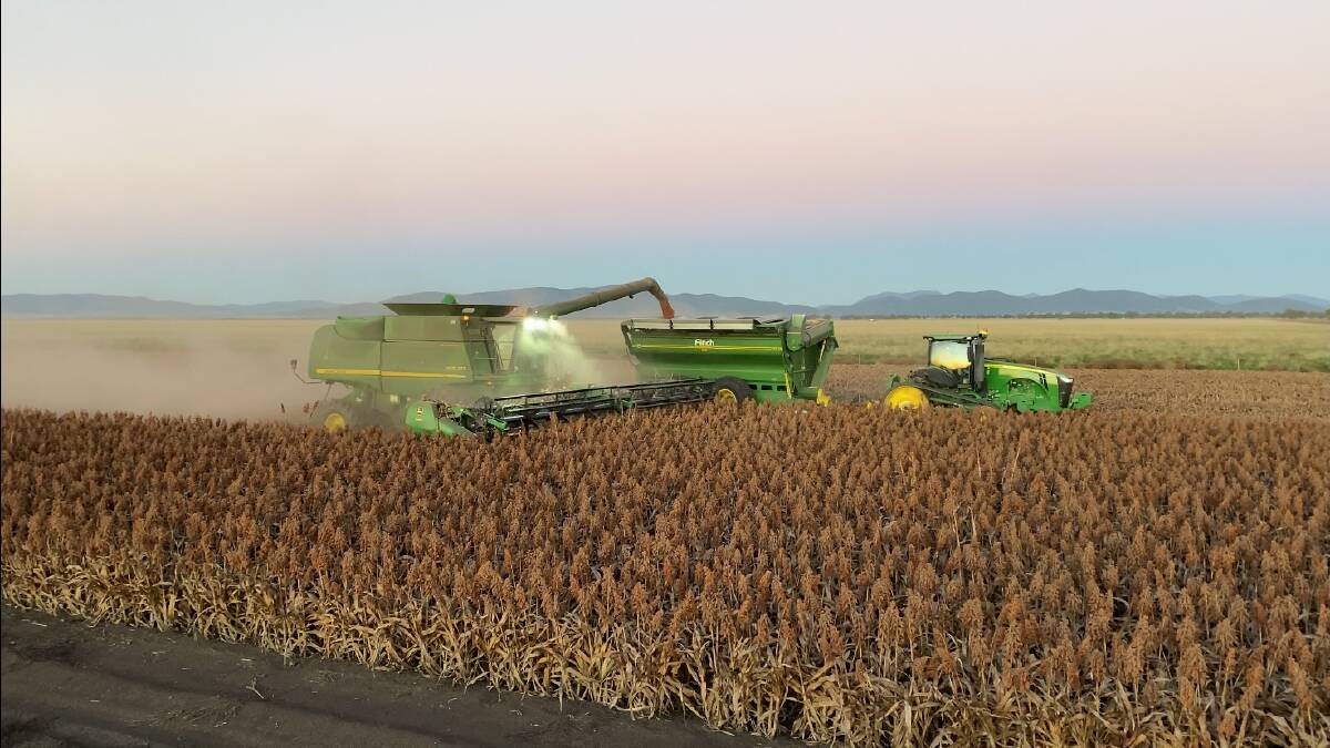 The Pursehouses bring in their "once-in-a-lifetime" sorghum crop at Breeza Station this week.