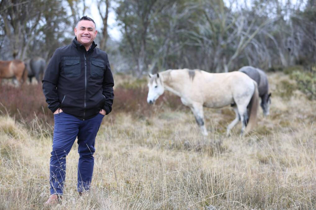 NSW Deputy Premier John Barilaro in Kosciuszko National Park alongside the famous wild horse Paleface. He says NSW and Victoria have similar brumby programs. Photo by Nicholas Ryan.