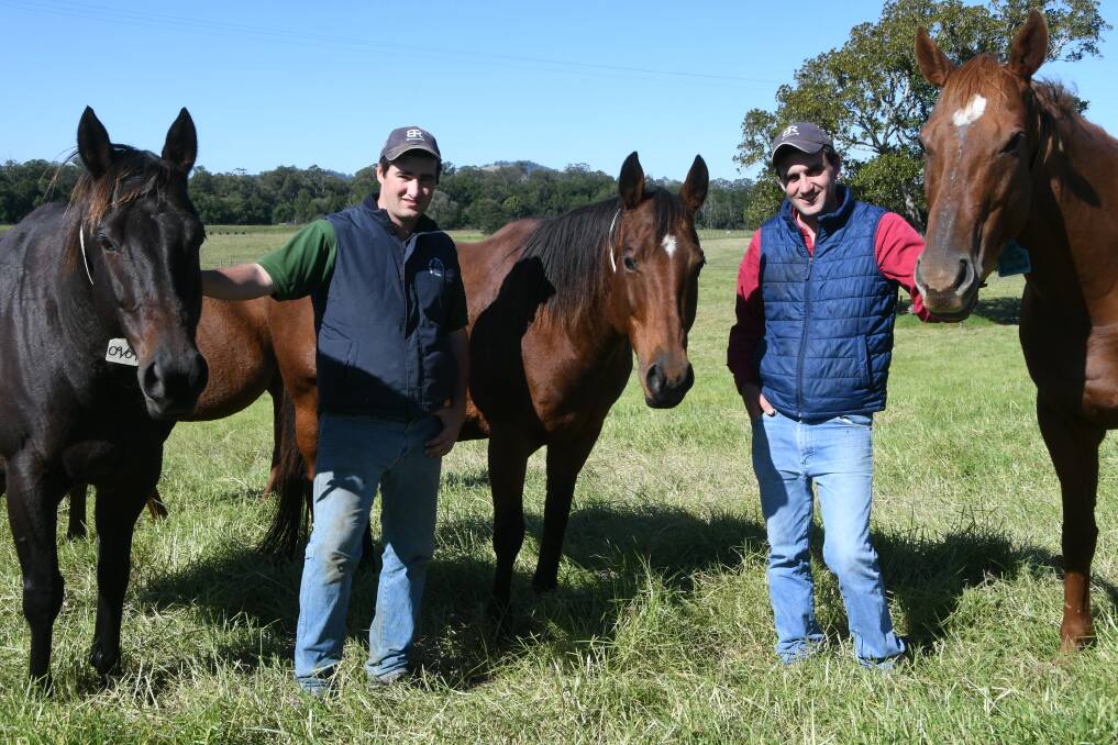  Brothers Jock and James Ferguson with broodmares Raining Embers, Frilly Curtain and I Am Excited in the paddocks at Bell River Thoroughbreds, Glen William. 