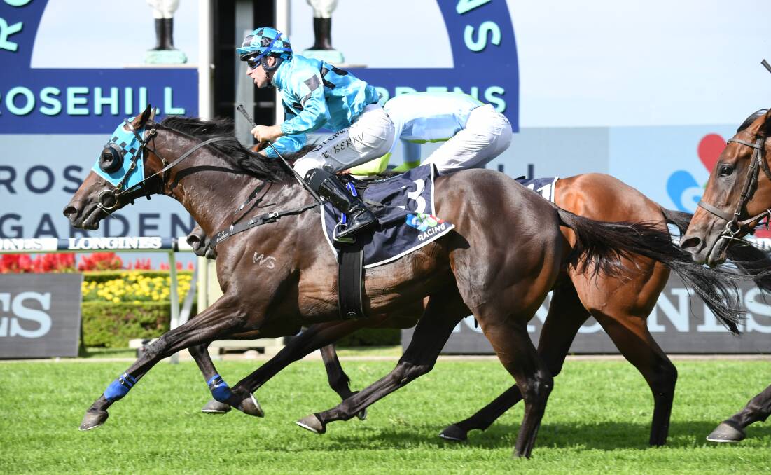 The great Todman can be found in the pedigree of New Zealand bred Sydney Group 1 winner Mo'unga (and Tommy Berry) seen when winning the 2021 Rosehill Guineas at Rosehill. Photo Steve Hart. 
