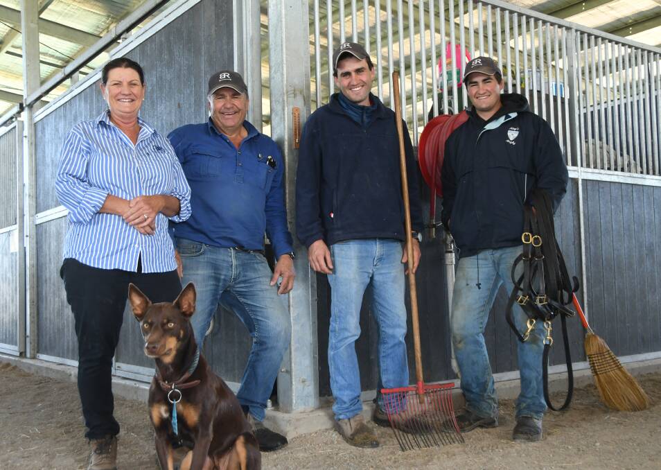 The Bell River Thoroughbreds team of Georgie and Andrew Ferguson, with sons James and Jock and supervisor dog Leo at the stables on the Dungog district property. Photo Virginia Harvey.
