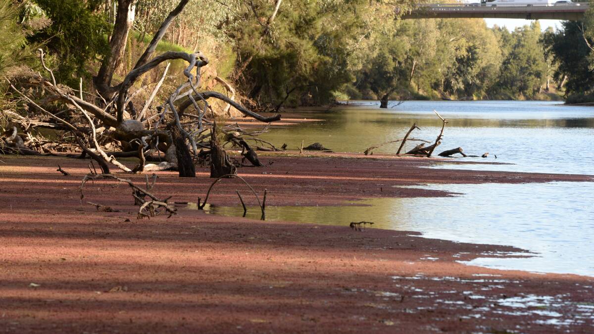 Dubbo council in Macquarie River water supply crisis talks