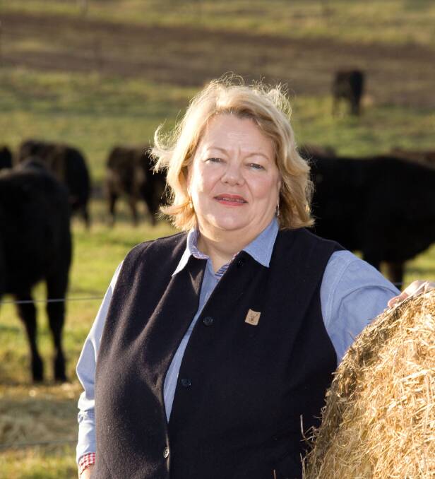 Former Rural Woman of the Year Alana Johnson says the Nats must do more to get women into parliament.