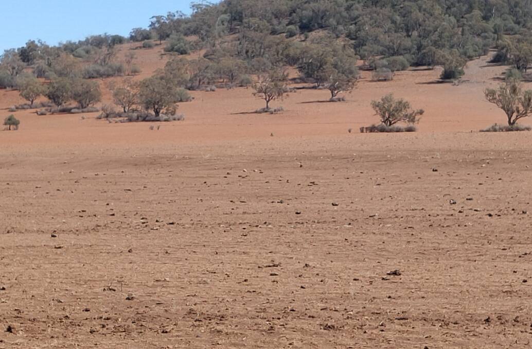 Amid drought, a view of a grazing paddock with little groundcover leaving it exposed to wind and water erosion. Loss of soil organic matter is also a big issue.