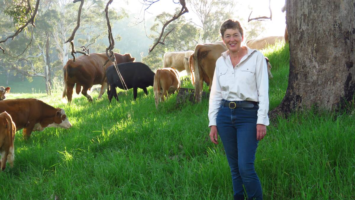 Dr Fiona Kotvojs, the Liberal candidate in the Bega state by-election on her family's farm at Dignams Creek, where her father was one of the first to breed Simmental cattle.