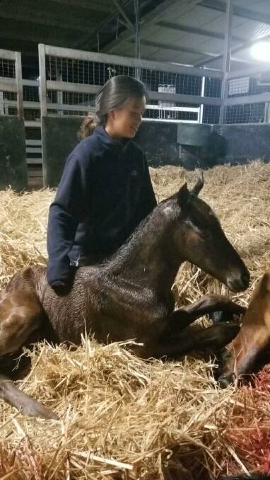 FastTrack's trainee Rachel Ku with a foal.