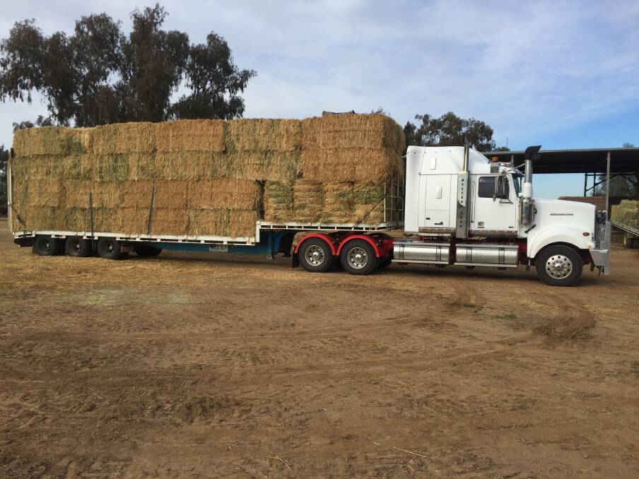 Hay truck road regulations have been relaxed to allow for faster and better delivery of essential feed supplies in the drought. This delivery was declared illegal without a permit previously because it was one load on a split tray.