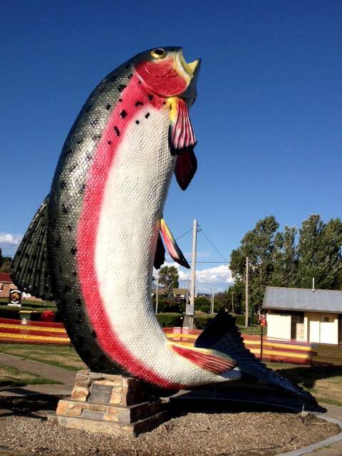 Mr Barilaro has promised a new paint job for the Big Trout.