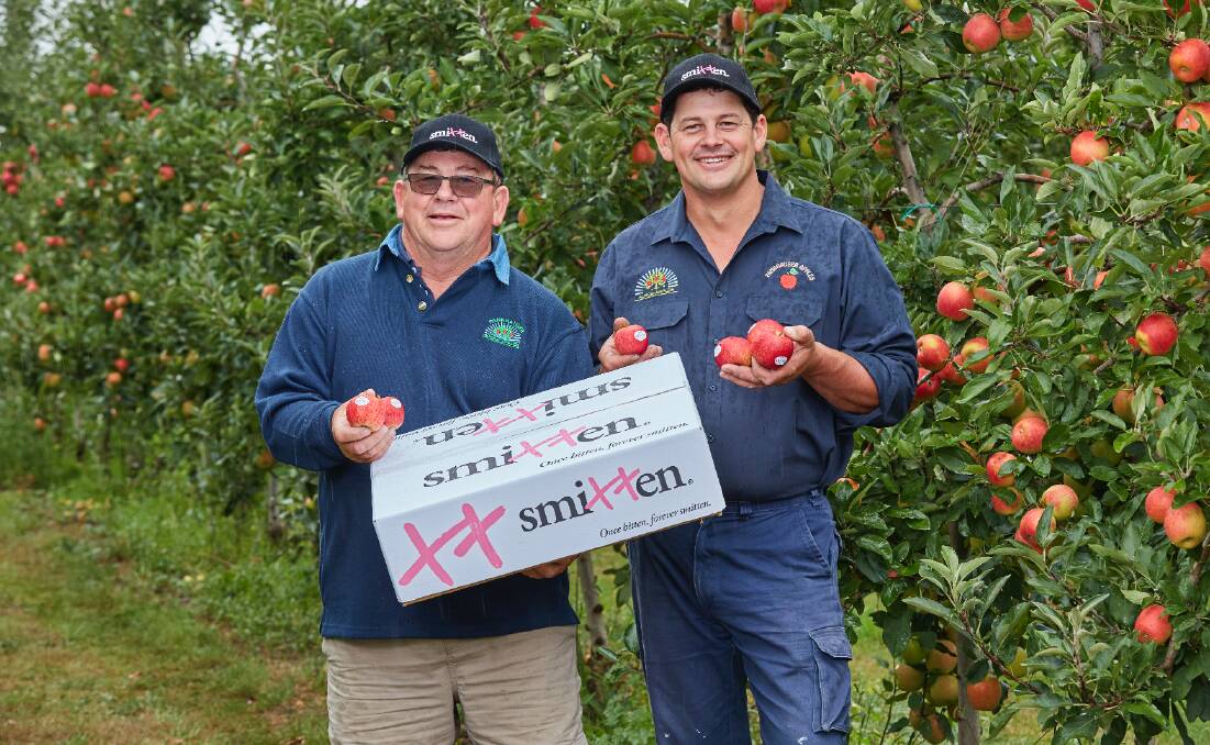 Glynn and Brad Fankhauser in their Drouin Orchards in Victoria with the specially grown Smitten apples, that have been a huge marketing success for Valentine's Day.