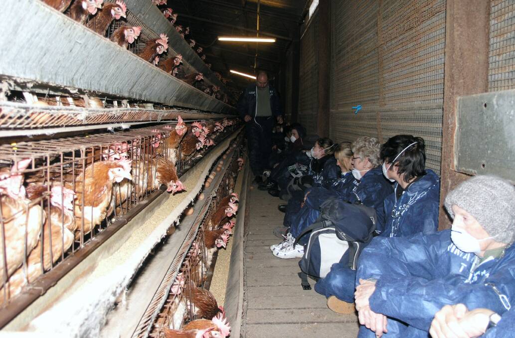 Activists inside a Hunter poultry farm.