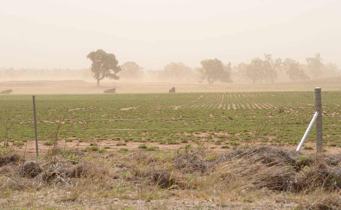 Another dust storm near Dubbo. There are ways to lessen the loss of valuable topsoil in drought conditions. Photo by Rachael Webb.