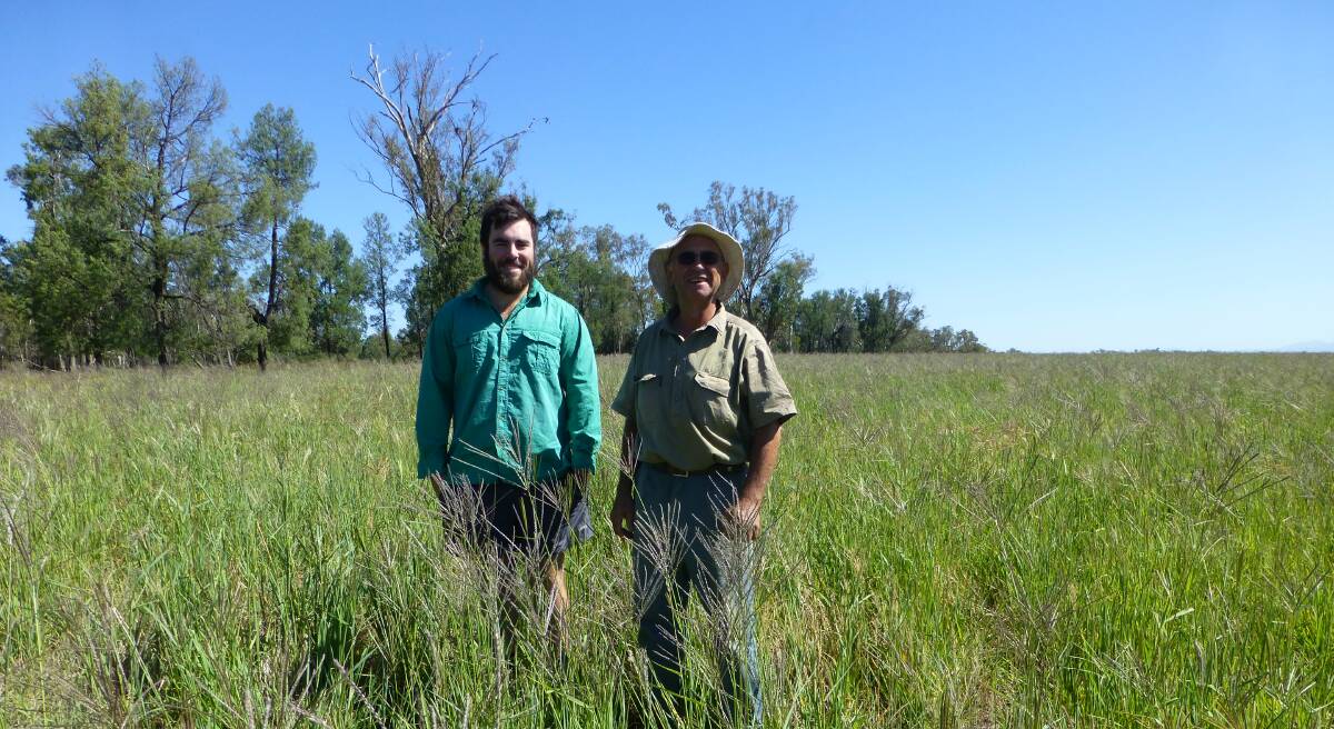 Matthew and George Avendano inspect one of their over 30 paddocks of tropical grass pasture. Much of this country has changed over the last 30 years. 