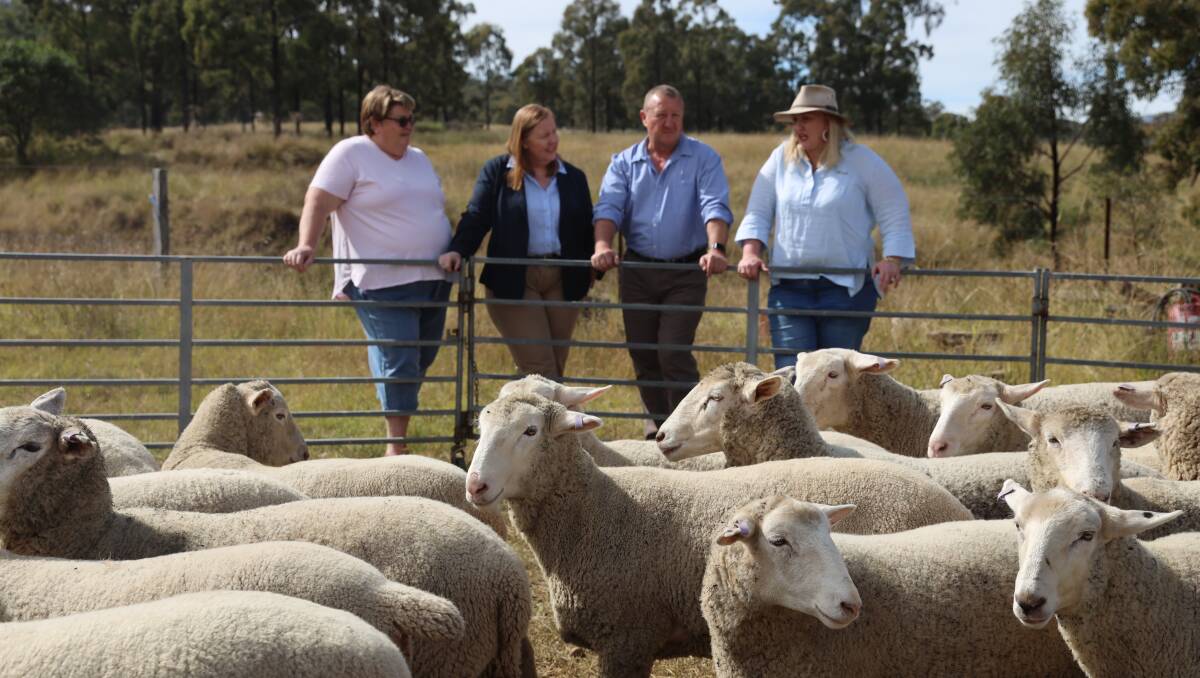 Labor ag shadow minister Jenny Aitchison, second from left with Labor's Upper Hunter by-election candidate Jeff Drayton at a farm near Scone on Sunday where Labor called for an independent role for the NSW Ag Commissioner to champion farmers' causes. They are at Joplin Higgins' (at right) farm near Scone.