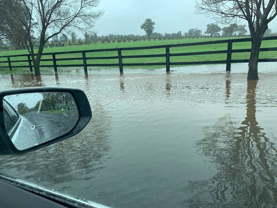 The Hunter Valley's top thoroughbred studs at Scone also welcomed the big rain event last week. More is on the way from Friday. Photo by Karla Leen.