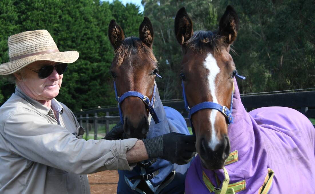  Southern Highlands breeder Garry Brilley with his colts by Mendelssohn and Shalaa which are on offer at the Inglis Australian Weanling Sale next week. Photo Virginia Harvey. 