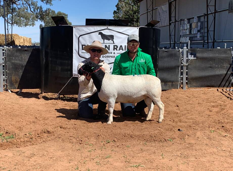 Thomas and Jack Cullinan, Pooncarie at their first ever sale that exceeded all expectations after a searing drought.