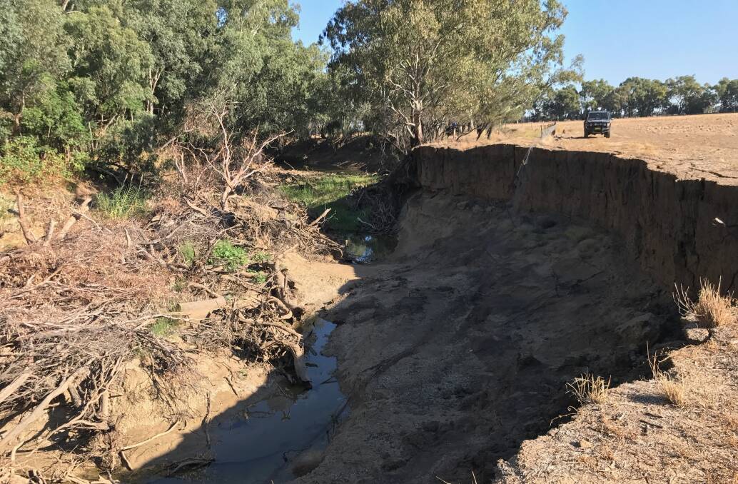 A raft of willows has sent the Macquarie River off course undermining the bank at Raby Irrigation, near Warren. Farmers, including the Cants of "Mumblebone" are fighting to be able to dispose of willow logs clogging up the river. 