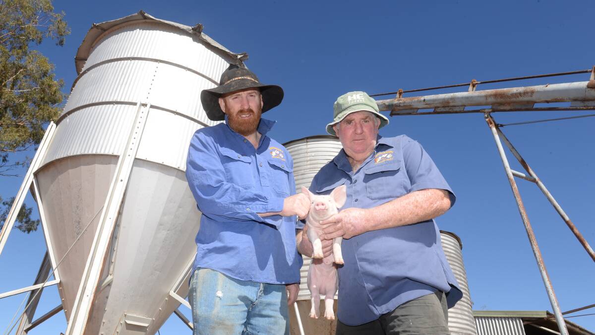 Peter and Nigel Armstrong say feed costs are driving them out of the pig industry. Photo by Rachael Webb.