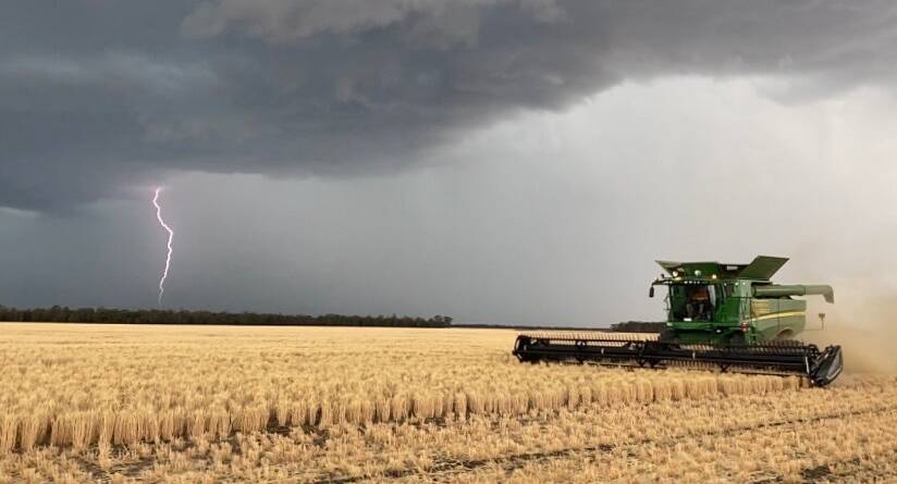 Harvesting on the NSW-Queensland border. Photo supplied by Leigh Bourke, BB Harvesting.