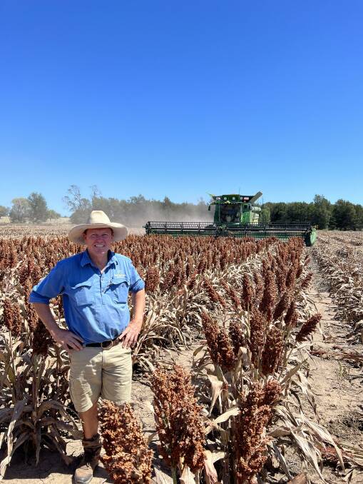 It was a five-star growing season for sorghum in the north with cool nights and temperate days. Simon Doolin at Cleveland, North Star. 