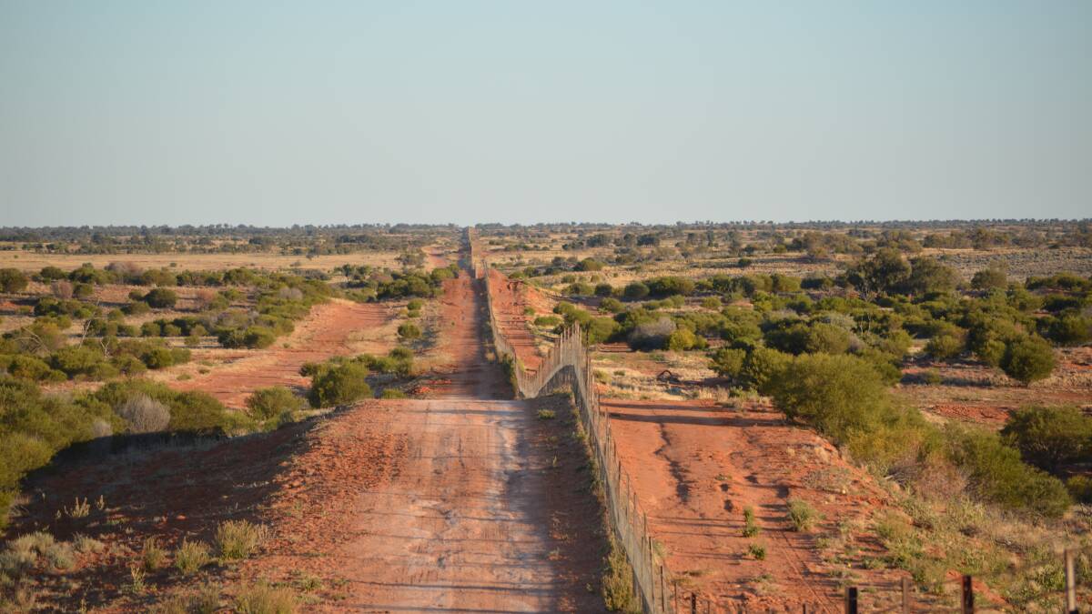 The wild dog fence in western NSW.