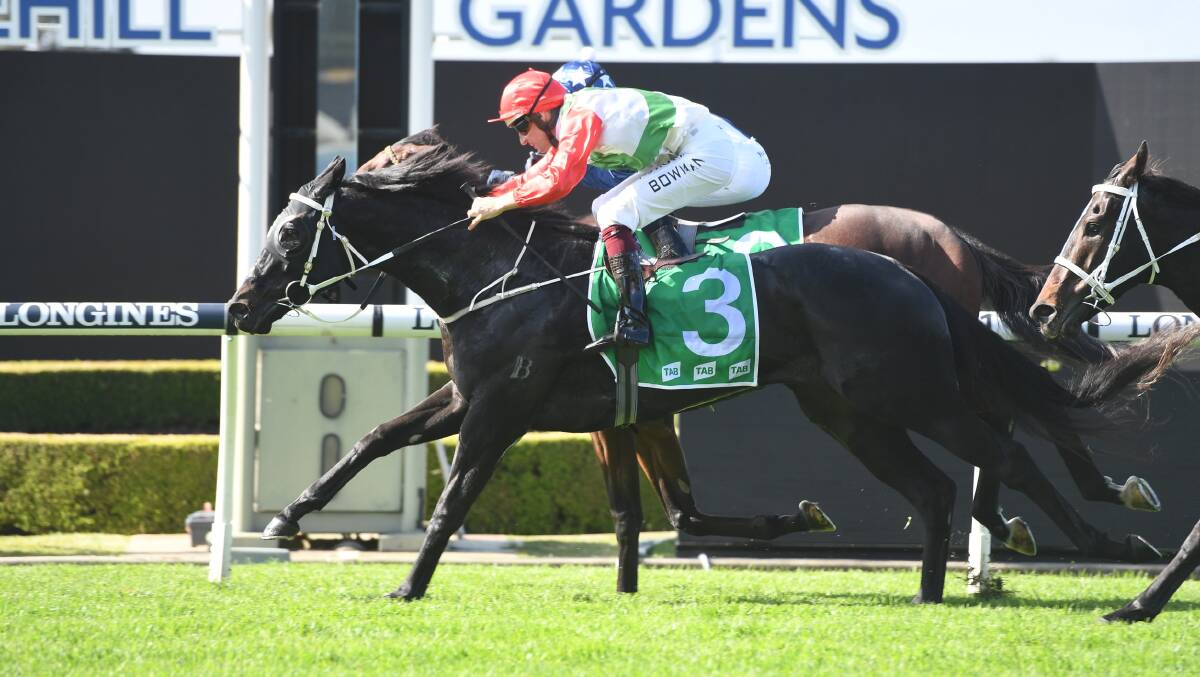 A daughter of Pierro, Perfect Pitch and partnered by Hugh Bowman win at Rosehill recently. Photo Steve Hart. 