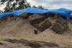 Mice eat away Coonamble farm's large stack of hay