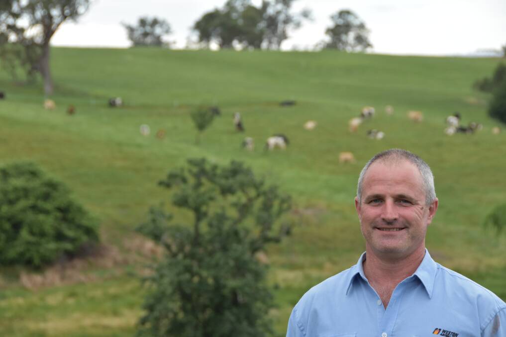 By attacking lovegrass infestations on his Toothdale dairy farm on the Far South Coast, Phil Ryan has boosted his milk output significantly to keep the long and fine tradition of Hill Grove dairying going.